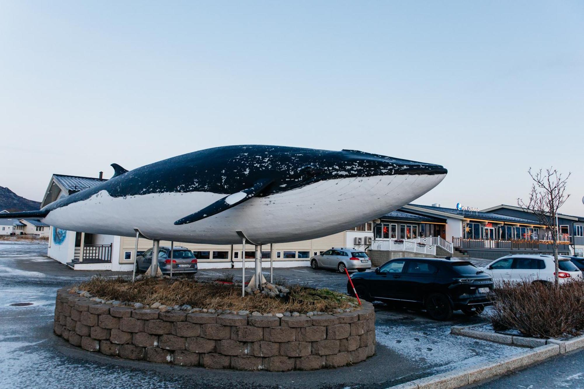 Hotell Myre Kysthotell Myre (Nordland)